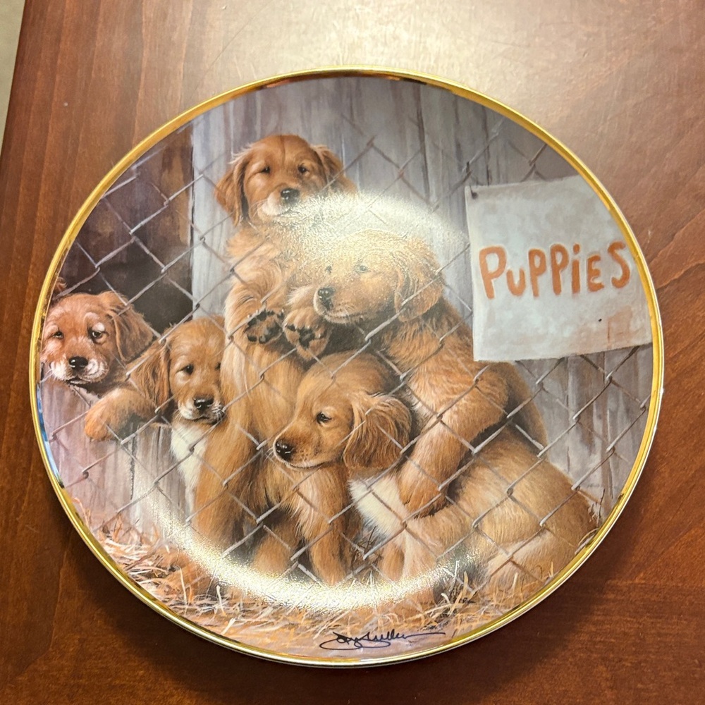 Golden Retriever Puppies Decorative Plate